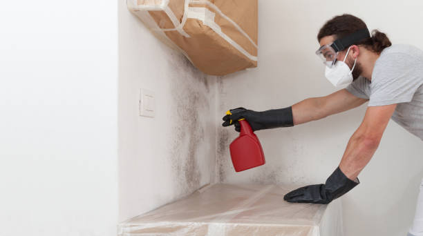 Professional Mold Testing technician working in Boston, MA