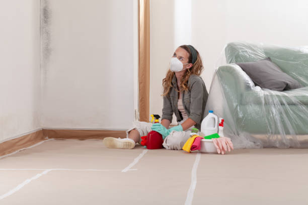 Reliable Mold Testing contractor in Boston, MA by WQB Mold Removal